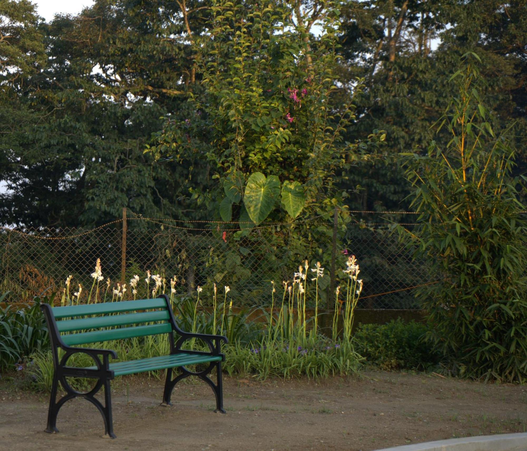 Niharika, The Old Place Kalimpong Exterior photo